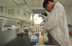 如何建設科研類恒溫恒濕實驗室