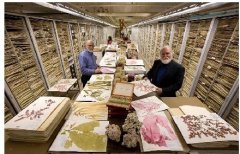 恒溫恒濕標本倉庫