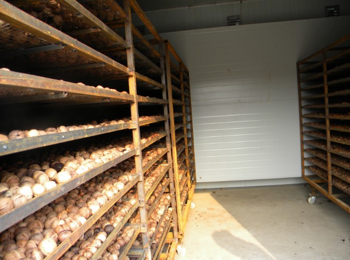 核桃烘干房需要知道的四大特點