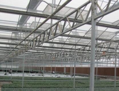 淺析溫室工程設(shè)計(jì)對(duì)農(nóng)業(yè)的作用